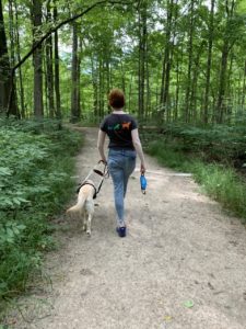 yellow lab romana guiding cassandra through a wooded area. both are walking away from the camera and cassandra holds romana’s harness in her left hand and a mask in her right