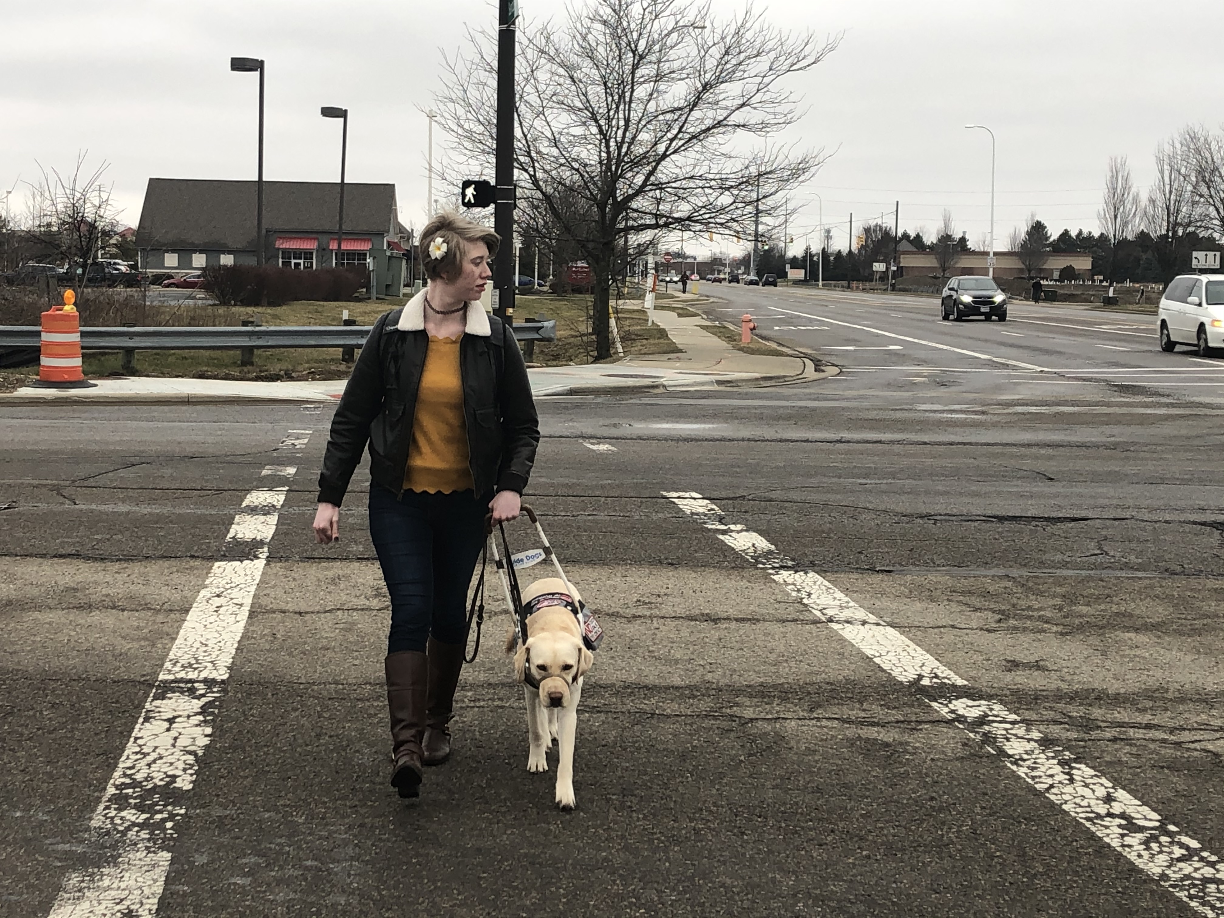 cassandra crossing a busy intersection with romana working as her guide. cass looks off to the side watching traffic while romana in her harness has her head lowered in concentration