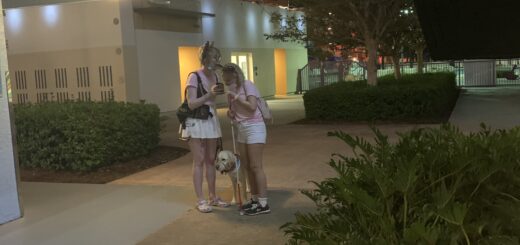 picture shows casey and cassandra at a distance at night in disney world. they both wear matching light pink tshirts and white shorts/skirts. both women are looking at a phone and laughing, their faces rather close to it