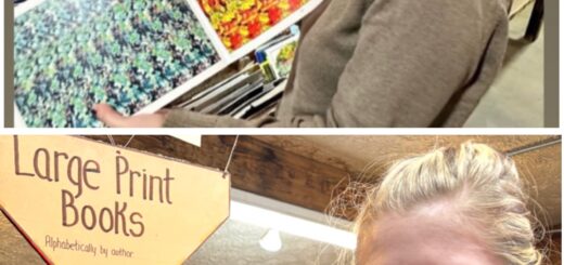 Collage of Case (top) and Cass (bottom) in a bookstore. Case holds a open a brightly colored "Magic Eye" book and pouts playfully. Cass smirks in mock-seduction by a display of large print books